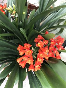 906FF1E6-C783-4449-9CA1-0BEB1FDACCE2